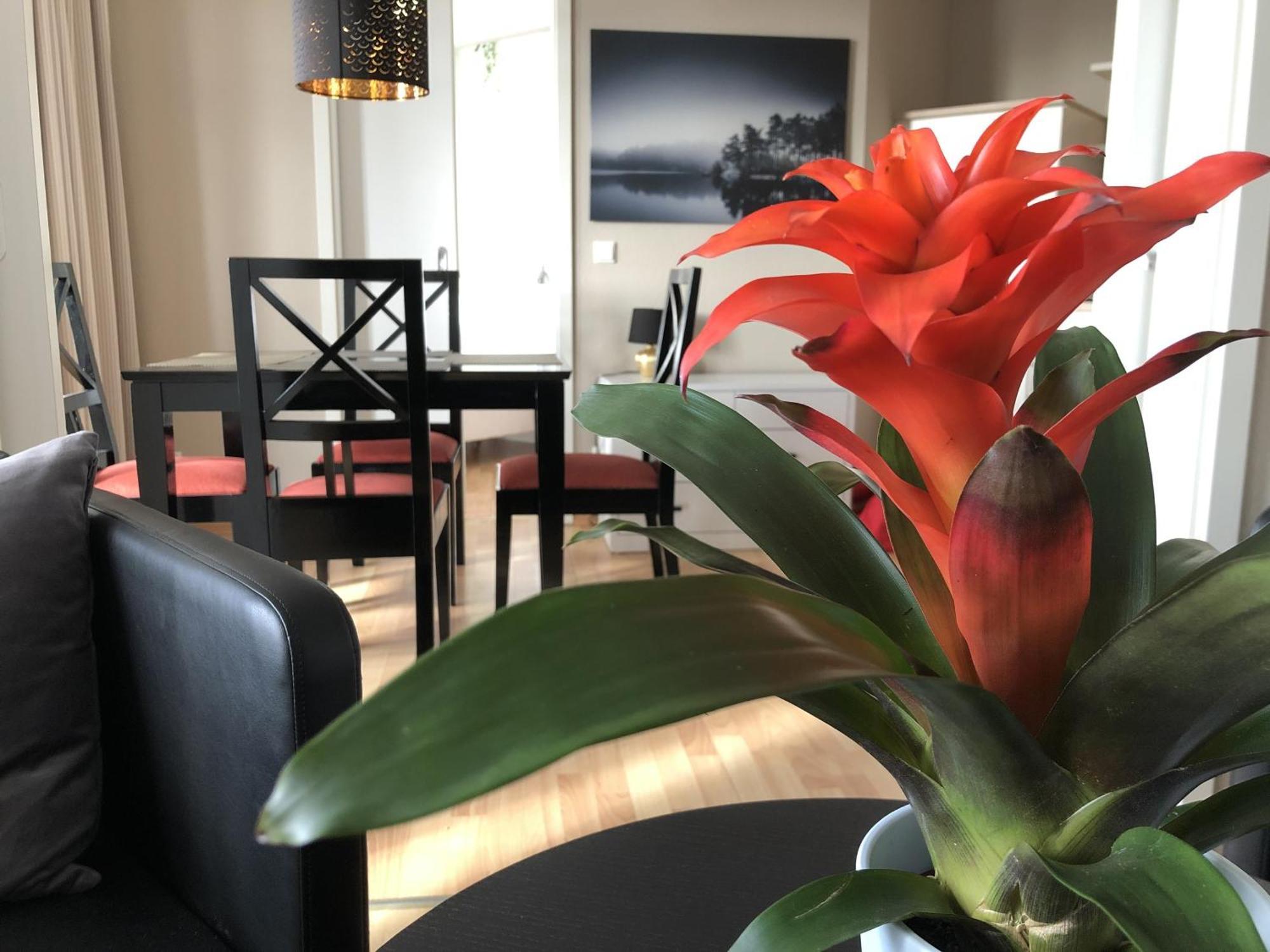 Sehnsucht Ruegen Ferienappartements Sellin  Ngoại thất bức ảnh